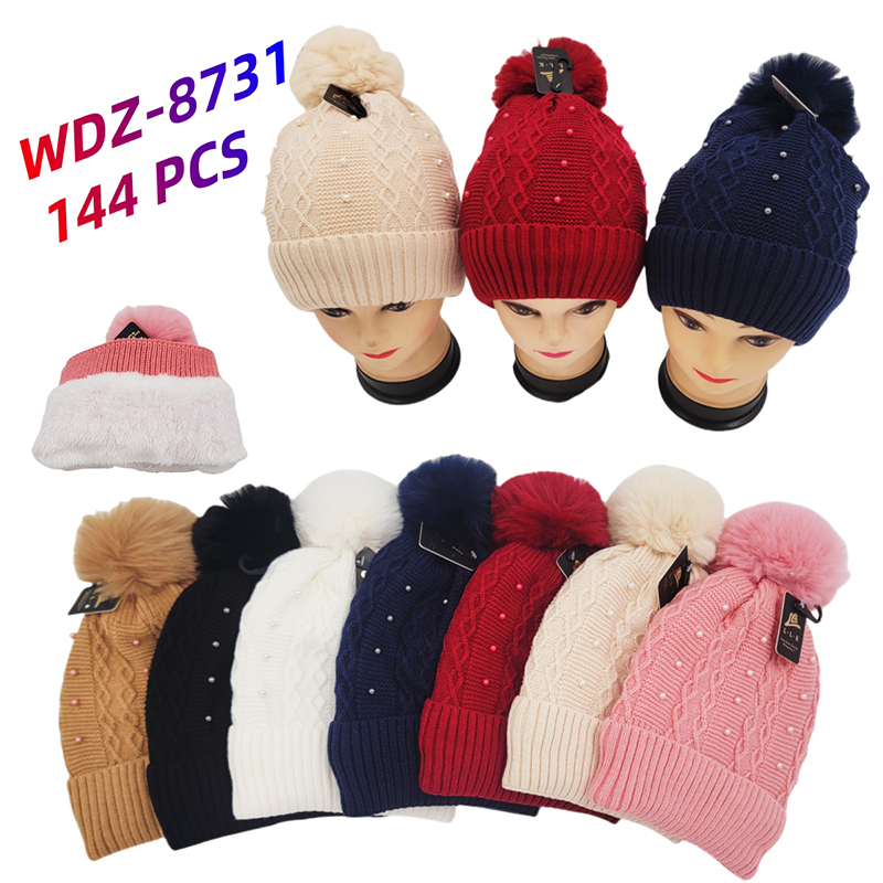 WDZ-8731 CS144